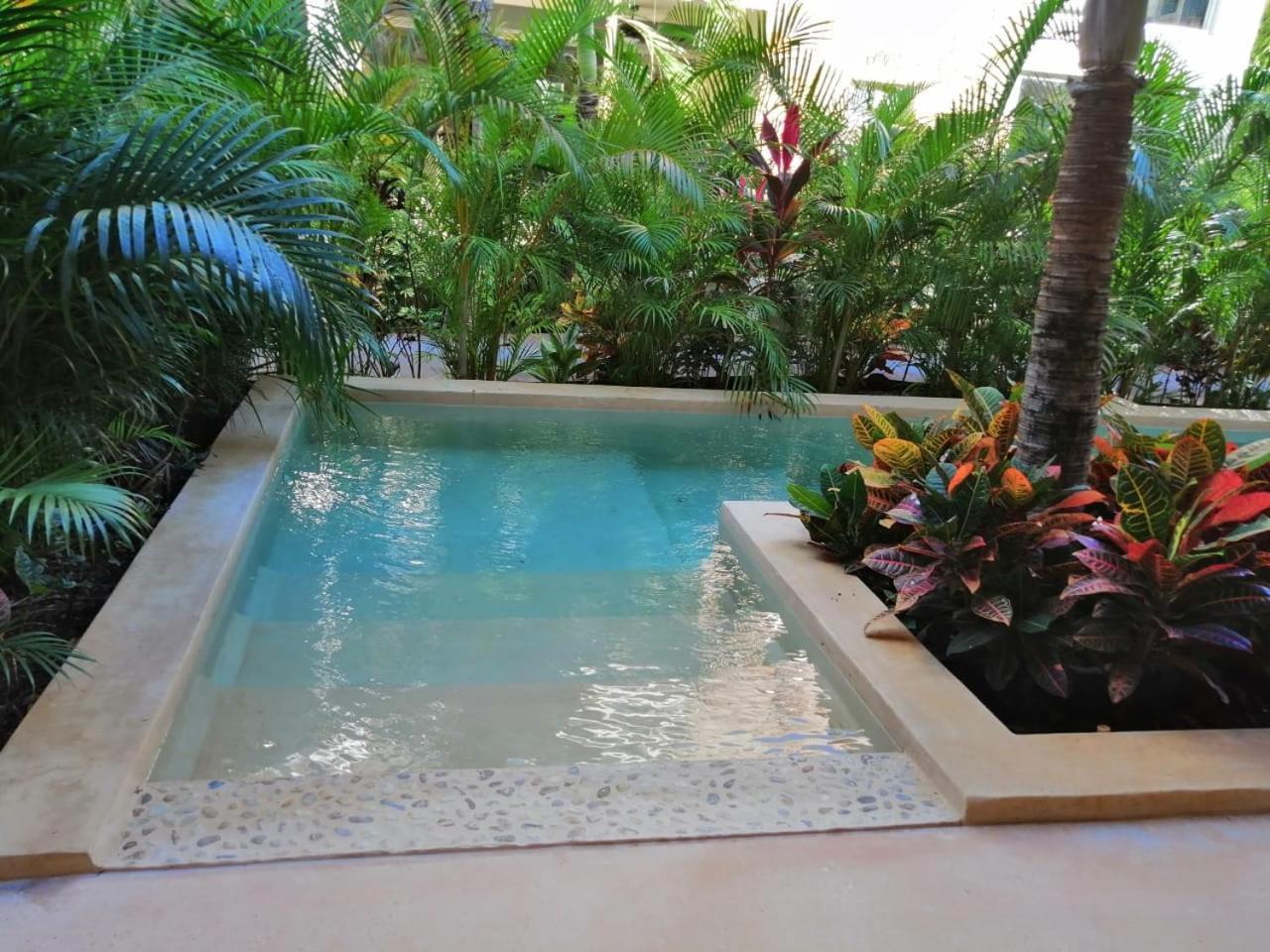 Alma De Flores Private Pools Suites ตูลุม ภายนอก รูปภาพ